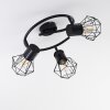 Bardhaman Plafondlamp Zwart, 3-lichts