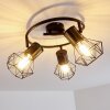 Bardhaman Plafondlamp Zwart, 3-lichts