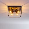 Ryssby Plafondlamp Zwart, 4-lichts