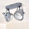 Butikon Plafondlamp Grijs, 2-lichts