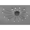 Trio Peacock Plafondlamp LED Zwart, 15-lichts