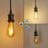 LED-gloeilamp Pratoia E27 9 watt 806 lumen 2200 - 5500 kelvin