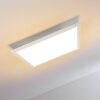 Salmi Plafondlamp LED Wit, 1-licht