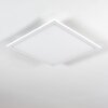 Salmi Plafondlamp LED Wit, 1-licht