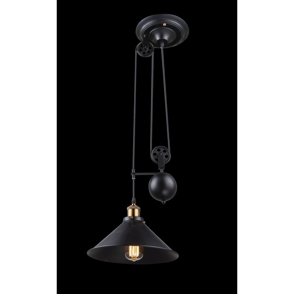Globo LENIUS Hanger Zwart, 1-licht main product photo