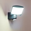 Larvik Buiten muurverlichting LED Antraciet, 1-licht, Bewegingsmelder