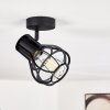 Gainesville Plafondlamp Zwart, 1-licht