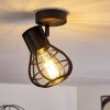 Gainesville Plafondlamp Zwart, 1-licht