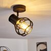 Gainesville Plafondlamp Zwart, 1-licht