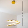Stalon Hanglamp LED Goud, 1-licht