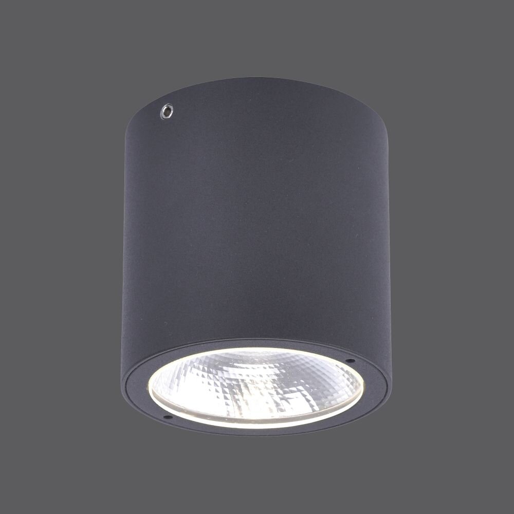 Paul Neuhaus GEORG Plafondlamp LED Antraciet, 1-licht