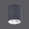 Paul Neuhaus GEORG Plafondlamp LED Antraciet, 1-licht