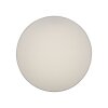 Paul Neuhaus Q-KIARA Plafondlamp LED Wit, 1-licht, Afstandsbediening