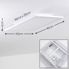 Bankura Plafondlamp LED Wit, 1-licht, Afstandsbediening, Kleurwisselaar