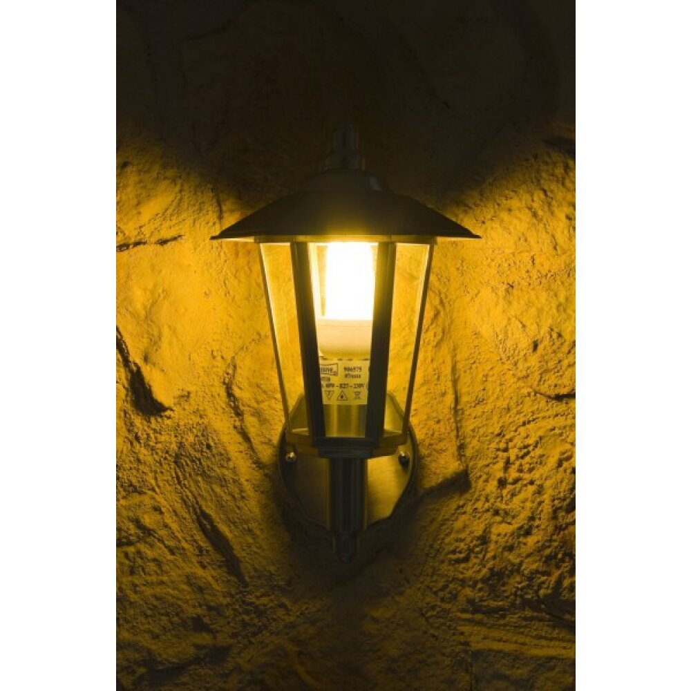 Moskau Buiten muurverlichting roestvrij staal, Transparant, Helder, 1-licht