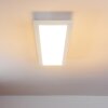 Salmi Plafondlamp LED Wit, 1-licht, Afstandsbediening