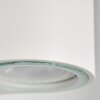 Nordborg Buiten muurverlichting LED Wit, 2-lichts
