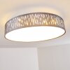 Liared Plafondlamp LED Nikkel mat, 1-licht