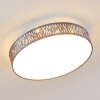 Liared Plafondlamp LED Nikkel mat, 1-licht