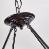 Riekje Hanger Bruin, Zwart, 8-lichts
