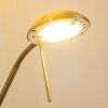 Rom Uplighter LED Oud messing, 2-lichts