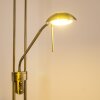 Rom Uplighter LED Oud messing, 2-lichts