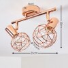 Palmira Plafondlamp Koperkleurig, 2-lichts