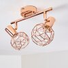 Palmira Plafondlamp Koperkleurig, 2-lichts