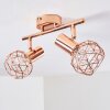 Palmira Plafondlamp Koperkleurig, 2-lichts