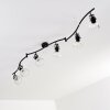 Bois Plafondlamp Zwart, 6-lichts