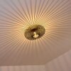 Ovari Plafondlamp Zwart, 1-licht