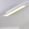 Salmi Plafondlamp LED Wit, 1-licht