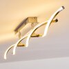 Dundas Plafondlamp LED roestvrij staal, 2-lichts