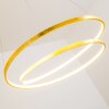 Stalon Hanglamp LED Goud, 1-licht