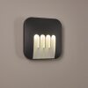 Silvso Buiten muurverlichting LED Antraciet, 4-lichts