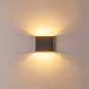 Tinglev Muurlamp LED Antraciet, 2-lichts