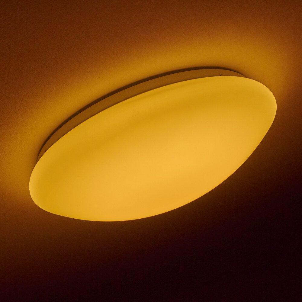 Brighton Plafondlamp LED Wit, 1-licht, Afstandsbediening, Kleurwisselaar