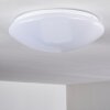 Brighton Plafondlamp LED Wit, 1-licht, Afstandsbediening, Kleurwisselaar