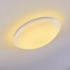 Brighton Plafondlamp LED Wit, 1-licht, Afstandsbediening, Kleurwisselaar
