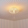 Ovari Plafondlamp Wit, 1-licht
