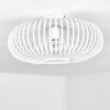 Ovari Plafondlamp Wit, 1-licht