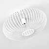 Ovari Plafondlamp Wit, 1-licht