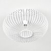 Ovari Plafondlamp Wit, 1-licht