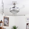 Bendigo plafondventilator LED Nikkel mat, Transparant, Helder, 1-licht
