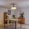 Bendigo plafondventilator LED Nikkel mat, Transparant, Helder, 1-licht