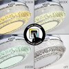 Bendigo plafondventilator LED Nikkel mat, Transparant, Helder, 1-licht