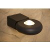 Trio TIGRIS Buiten muurlamp LED Zwart, 2-lichts