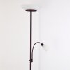 Gismaro Staande lamp Roest, 3-lichts