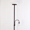 Gismaro Staande lamp Roest, 3-lichts