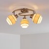 Lotorp Plafondlamp Nikkel mat, 3-lichts